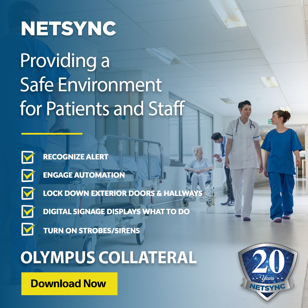 Netsync Graphic 13