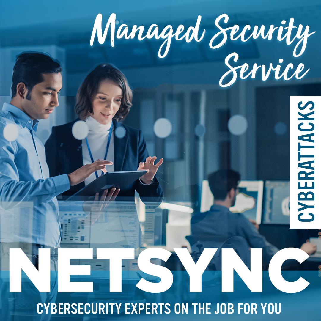 Netsync Graphic 18
