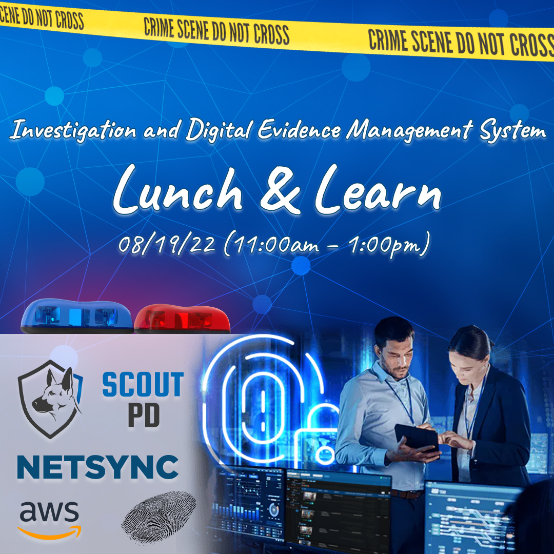 Netsync Graphic 2